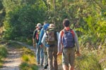 Survival Training